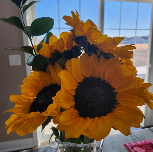 Meet your Posher, Susan - Picture 2 of 2